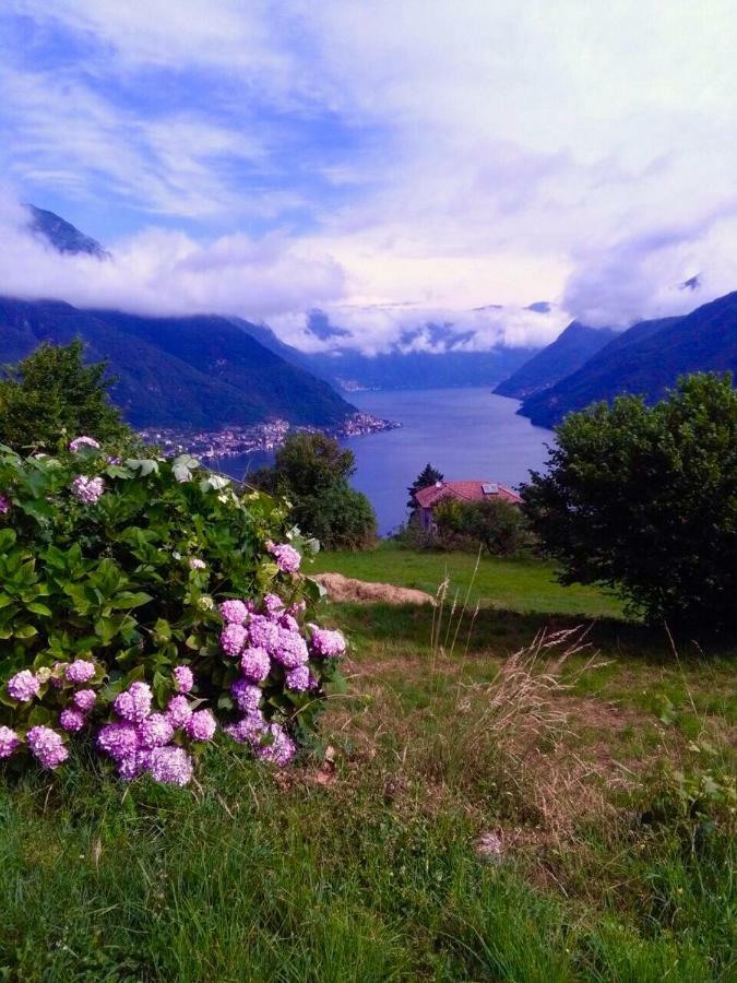 Holiday Home Liliana Faggeto Lario Exterior photo